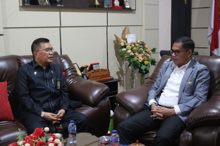 KETUA PTA KENDARI LAKUKAN AUDIENSI DENGAN REKTOR IAIN KENDARI